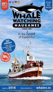 Whale watching brochure information download