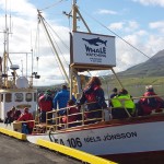 Our Whale watching boat