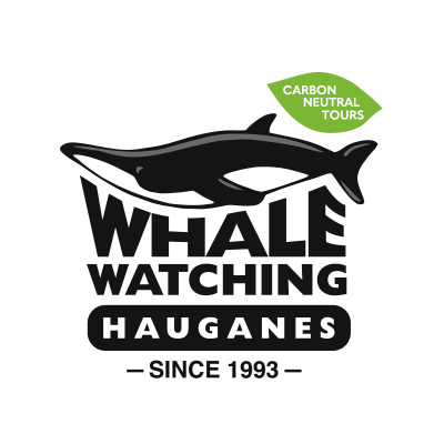 Whale Watching Hauganes Iceland Tours