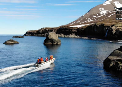 Skiing by boat in Iceland